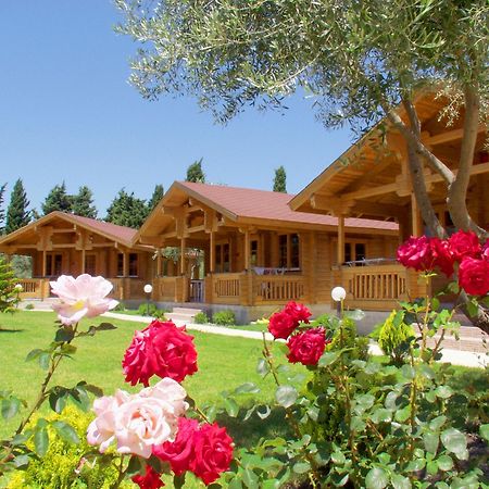 Sandys Studios Apartments And Log Villas Psalidi  Zewnętrze zdjęcie